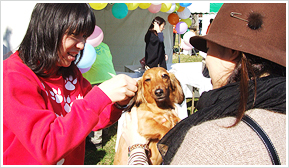 世田谷区動物フェスティバルイメージ