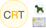 CRTC[W